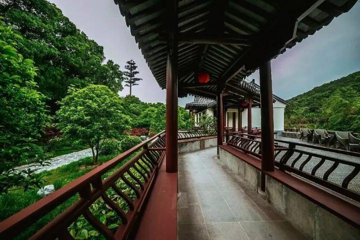 探索aj1芝加哥只有黑色标的吗?,知识星球平台专注交流与分享